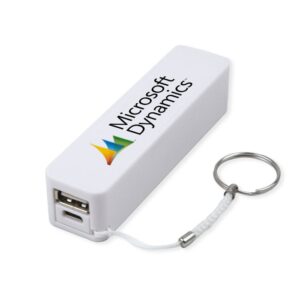 Edge Budget Power Bank